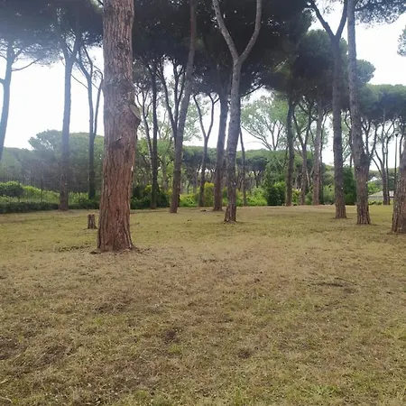 Attico Con Terrazza In Via Dei Traghetti 아파트 리도디오스티아